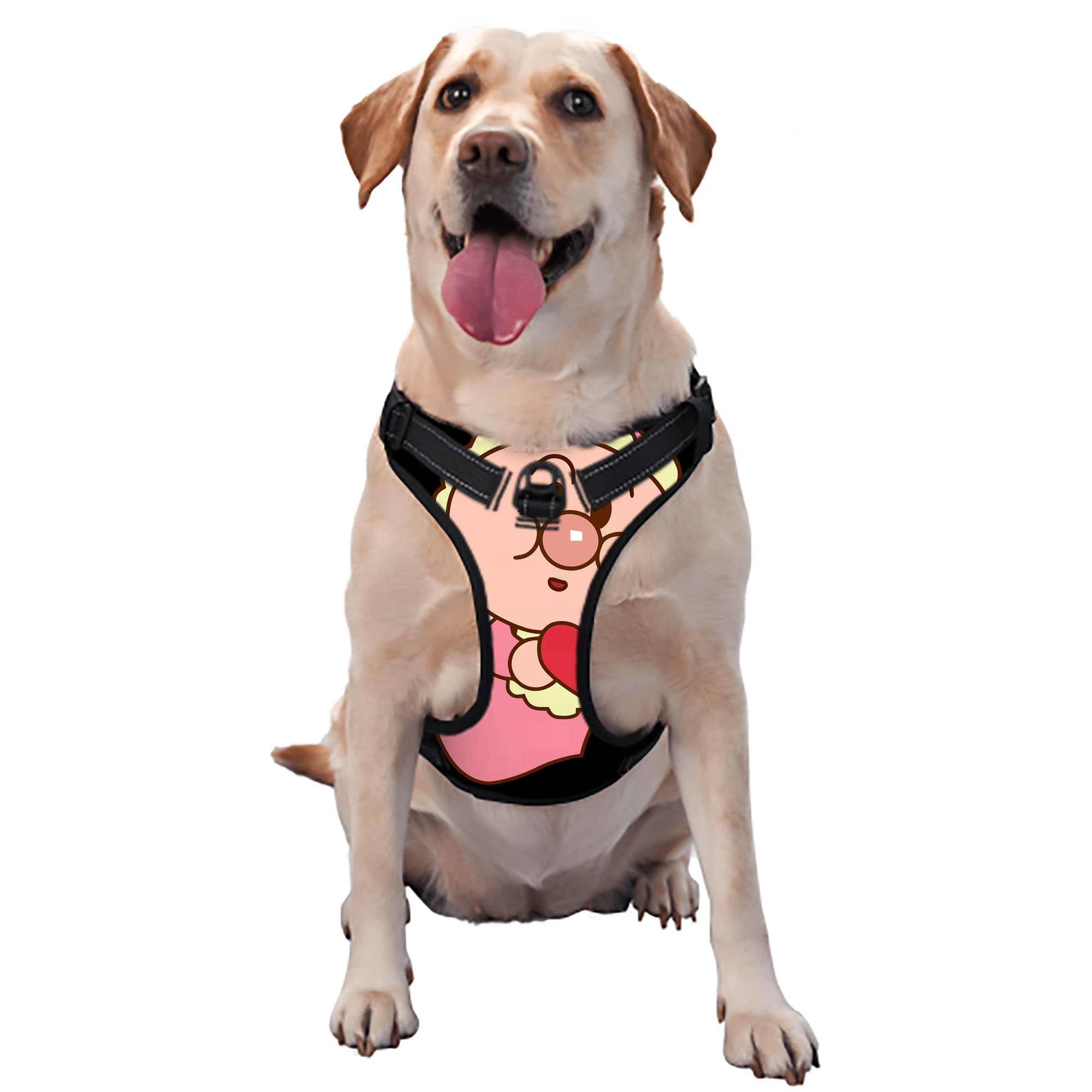 （画像用） アンパンマン Anpanman ペット用ハーネス